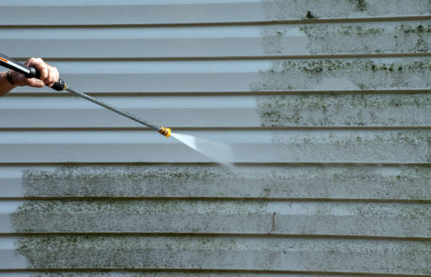 Best Roof Power Washing Services  in Reserve, LA